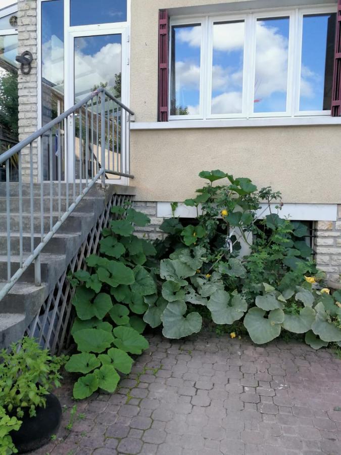 Un Verger Dans La Ville Saint-Parres-aux-Tertres Buitenkant foto