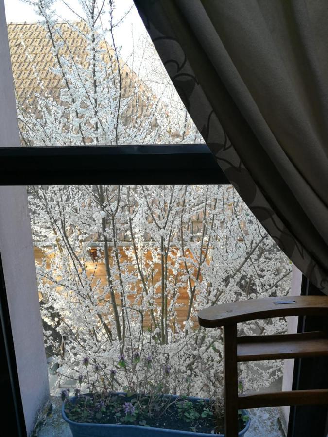 Un Verger Dans La Ville Saint-Parres-aux-Tertres Buitenkant foto